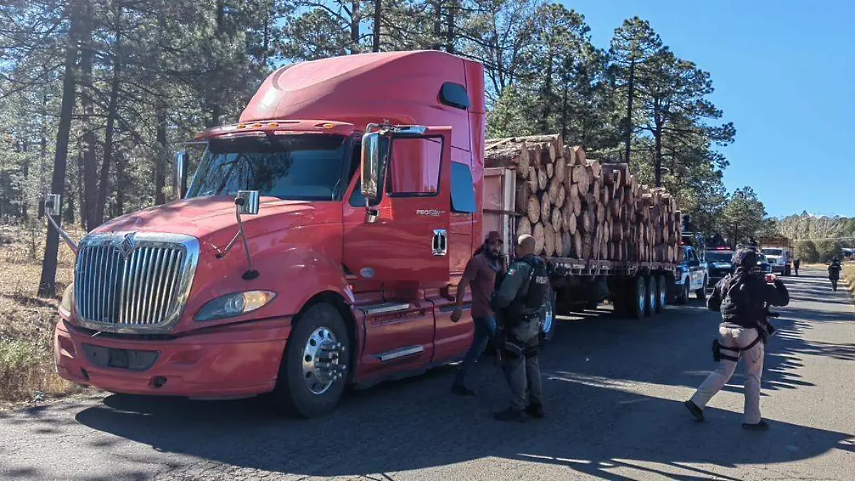 77d9eedf-4231-44aa-bfcd-09dccddbbdce