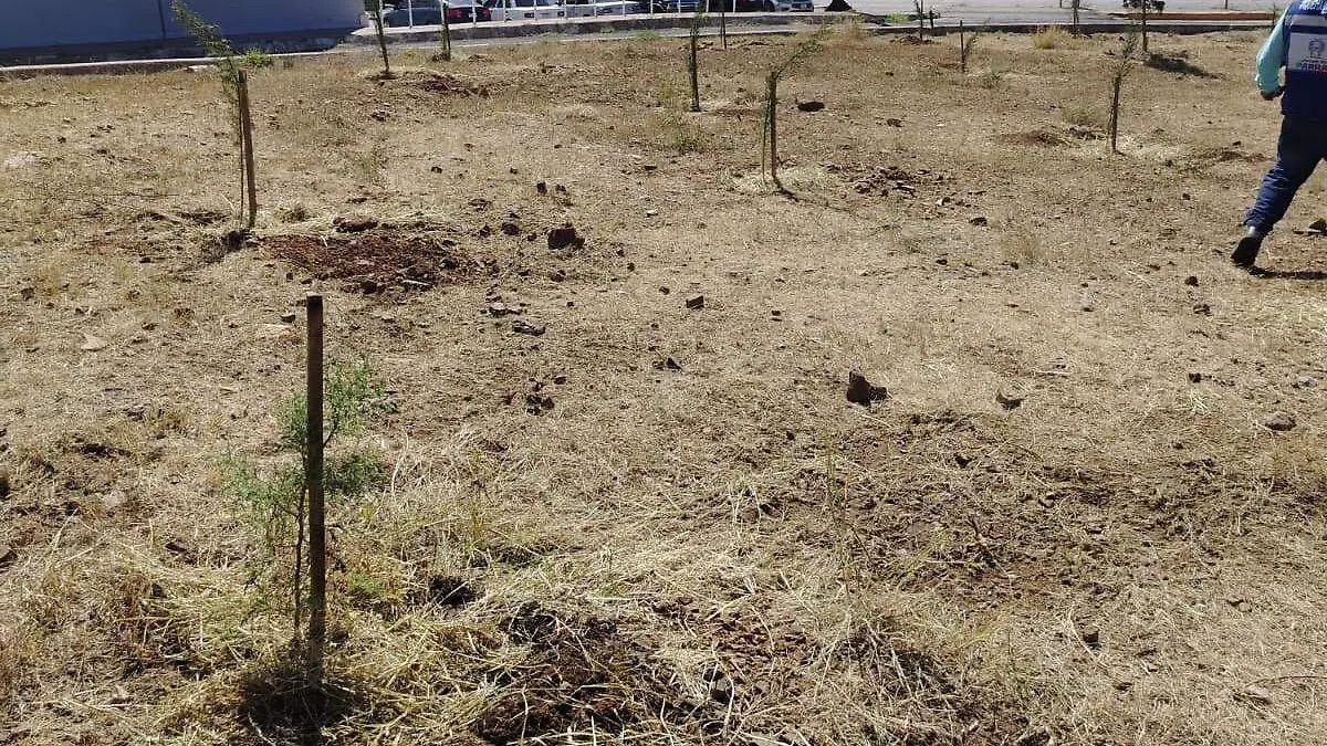 a71fe449-4d8e-4512-9116-b36b03618910