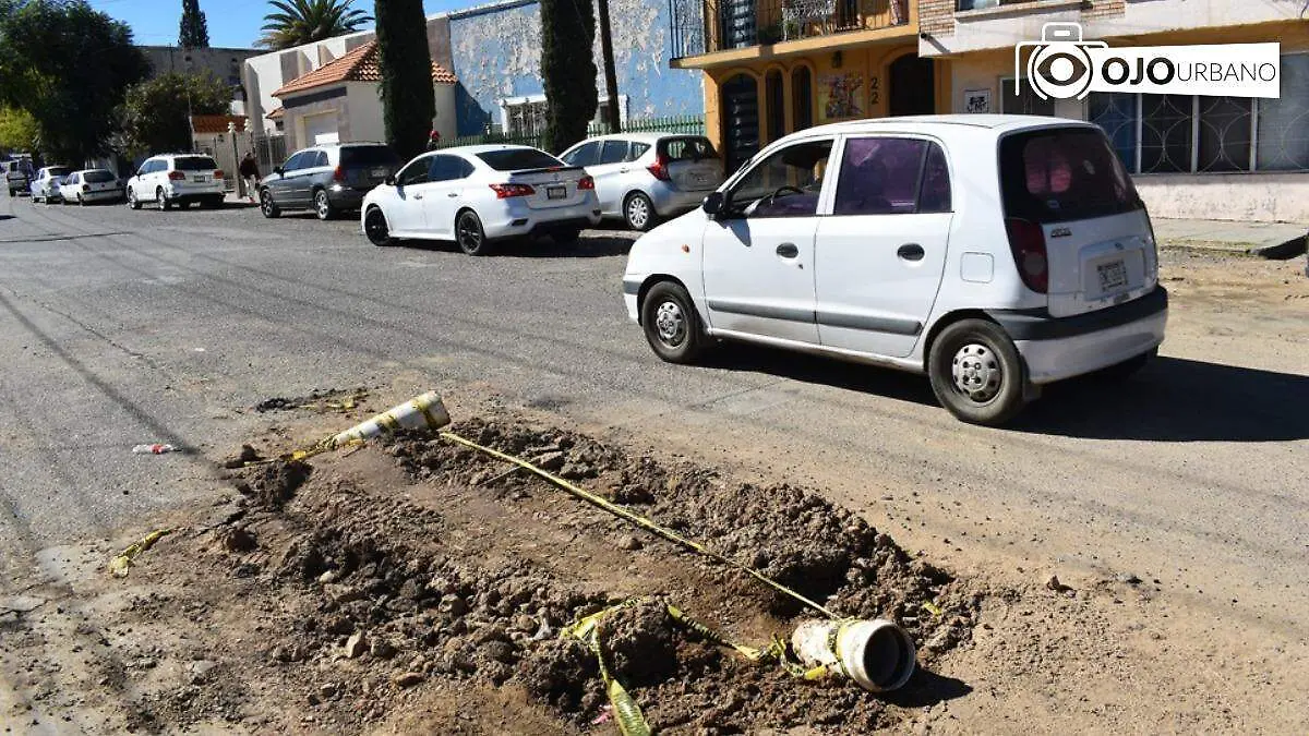 WhatsApp Image 2025-12-08 at 4.36.08 PM