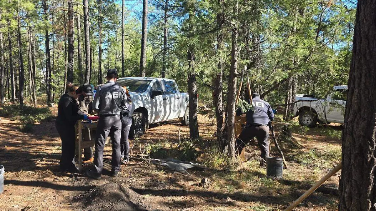 WhatsApp Image 2025-12-18 at 10.22.33 a.m.