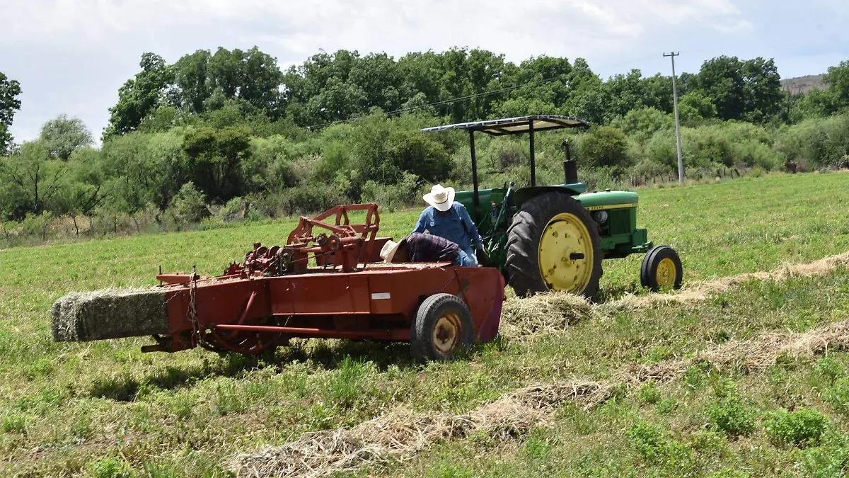 bae861cb-63a7-4681-ac50-b3d4e2c19e6f