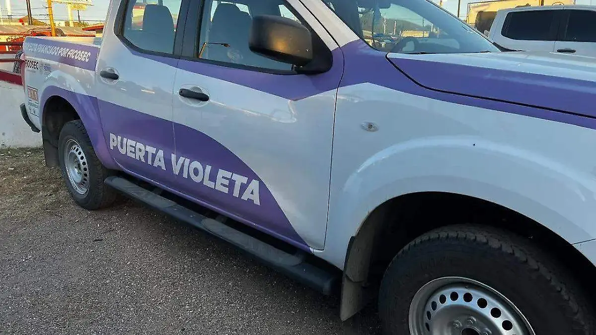 puerta violeta