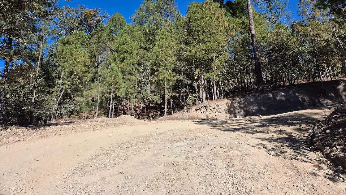 Carretera Parral-Guadalupe y Calvo