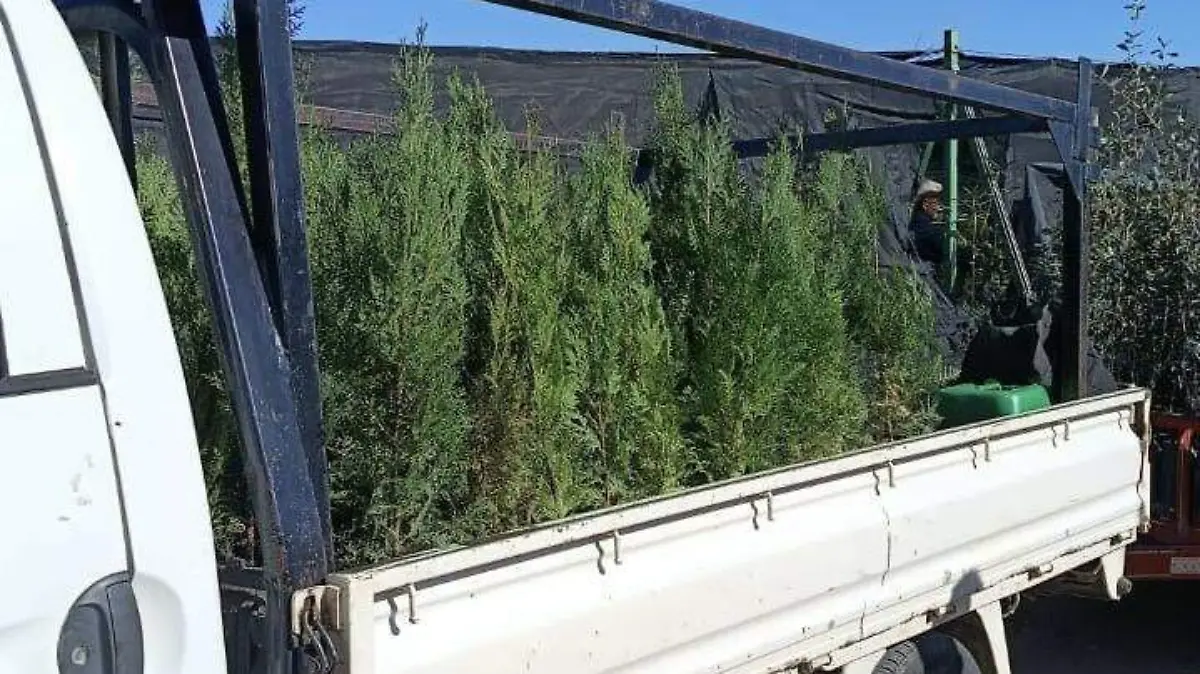 c8159231-01f1-4bd1-bd96-fdaa7c2ecd6a