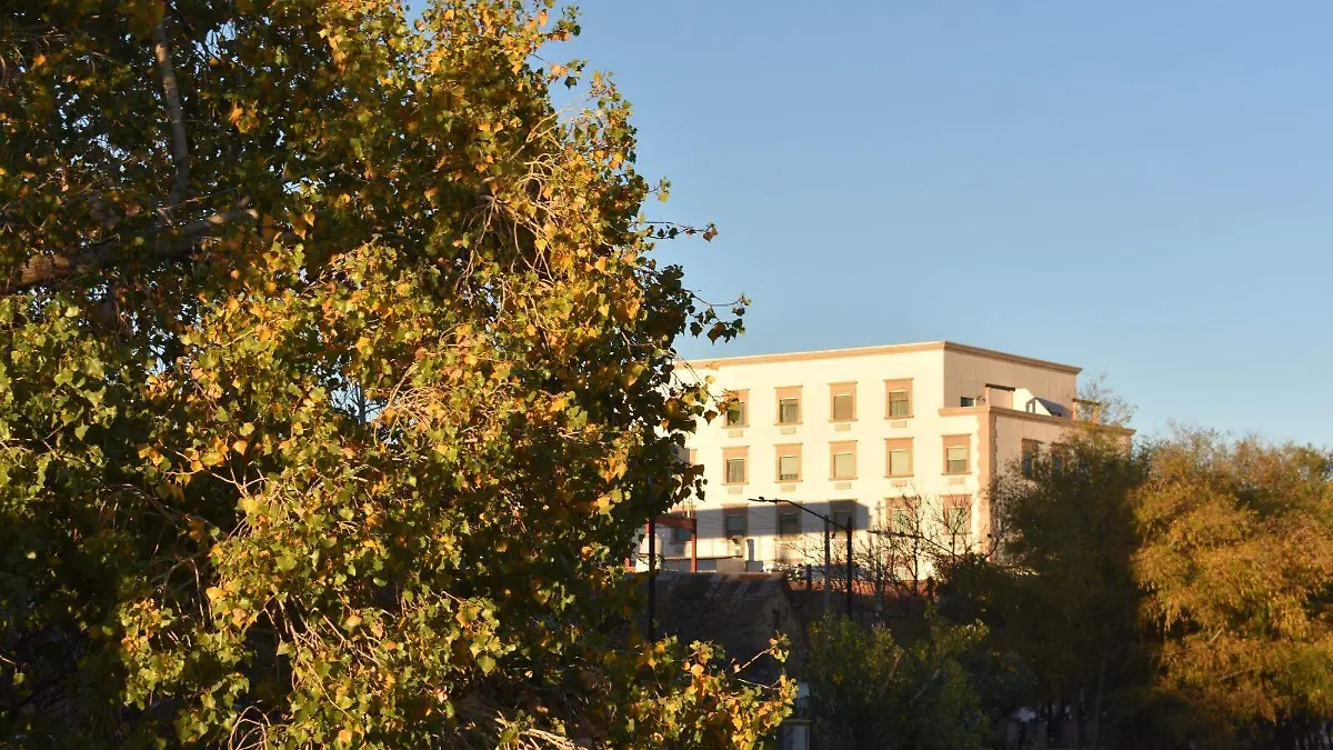 WhatsApp Image 2025-12-28 at 8.37.29 AM