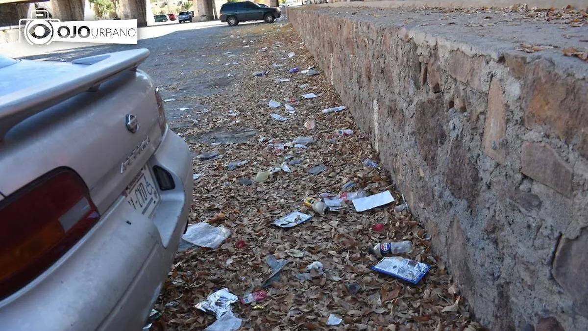 WhatsApp Image 2025-12-29 at 4.50.28 PM