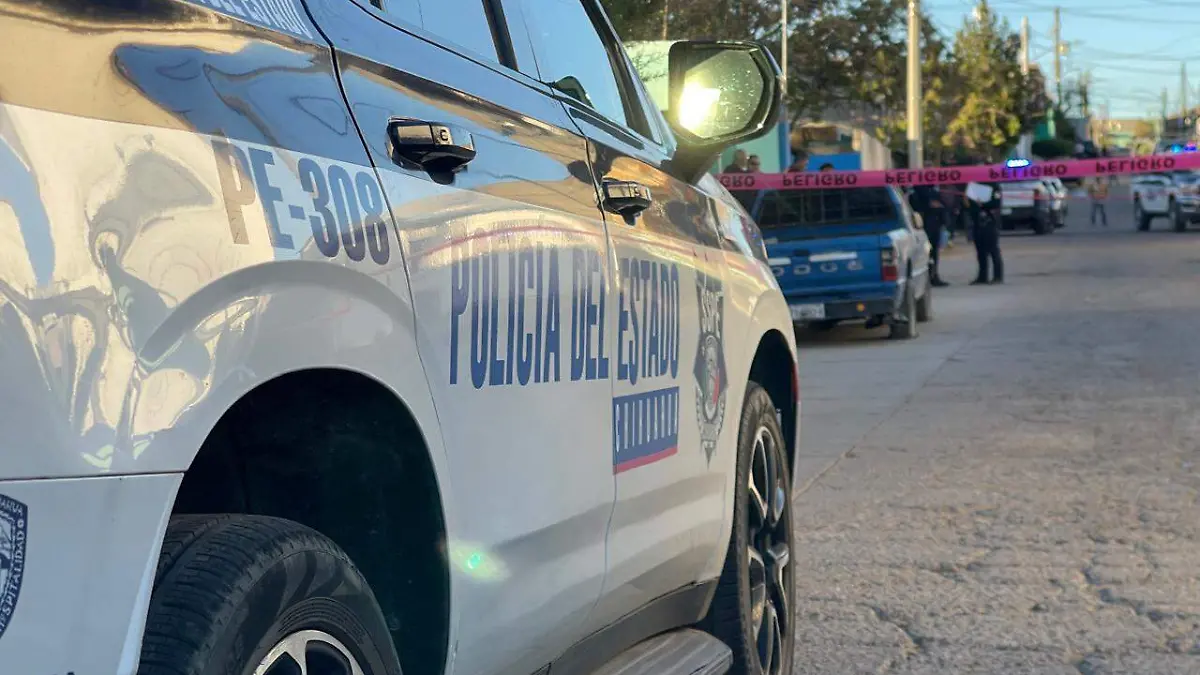 reporte de violencia familiar