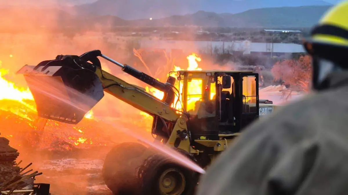 WhatsApp Image 2025-12-31 at 6.27.03 PM