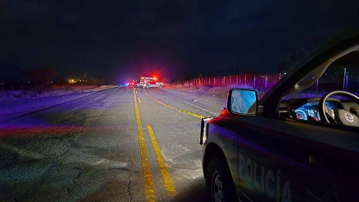 WhatsApp Image 2025-12-31 at 8.41.28 PM