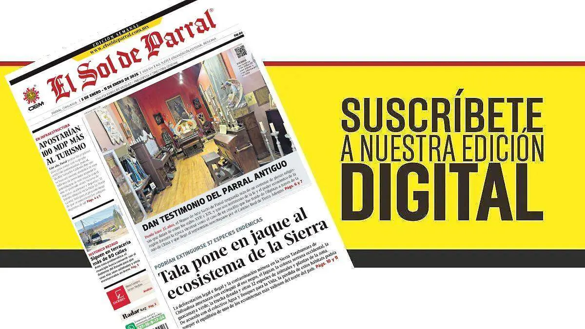 WhatsApp Image 2026-01-04 at 1.24.46 PM