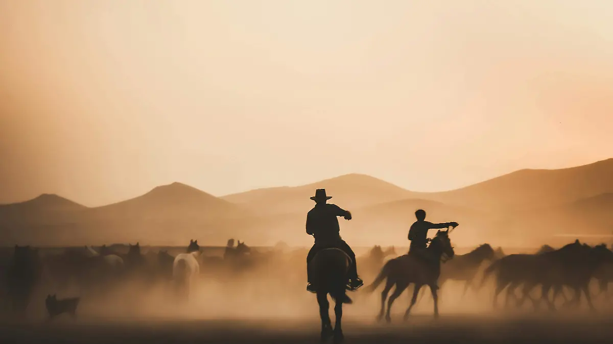 pexels-zeynep-secer-284430732-13444726