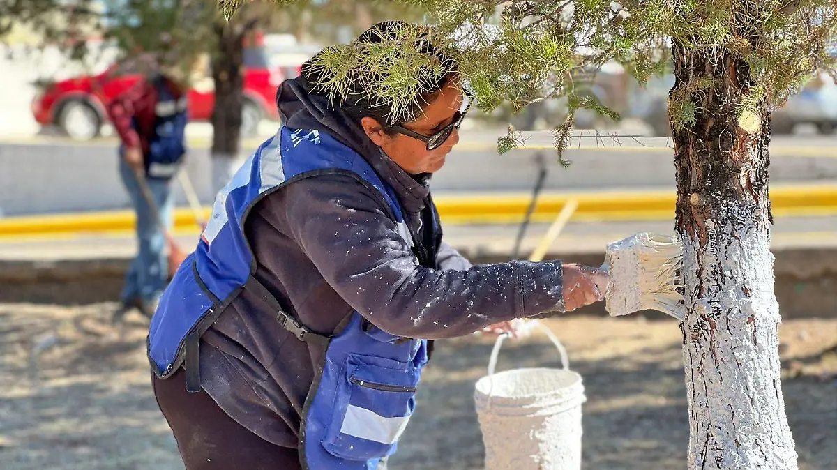 trabajo de servicios publicio