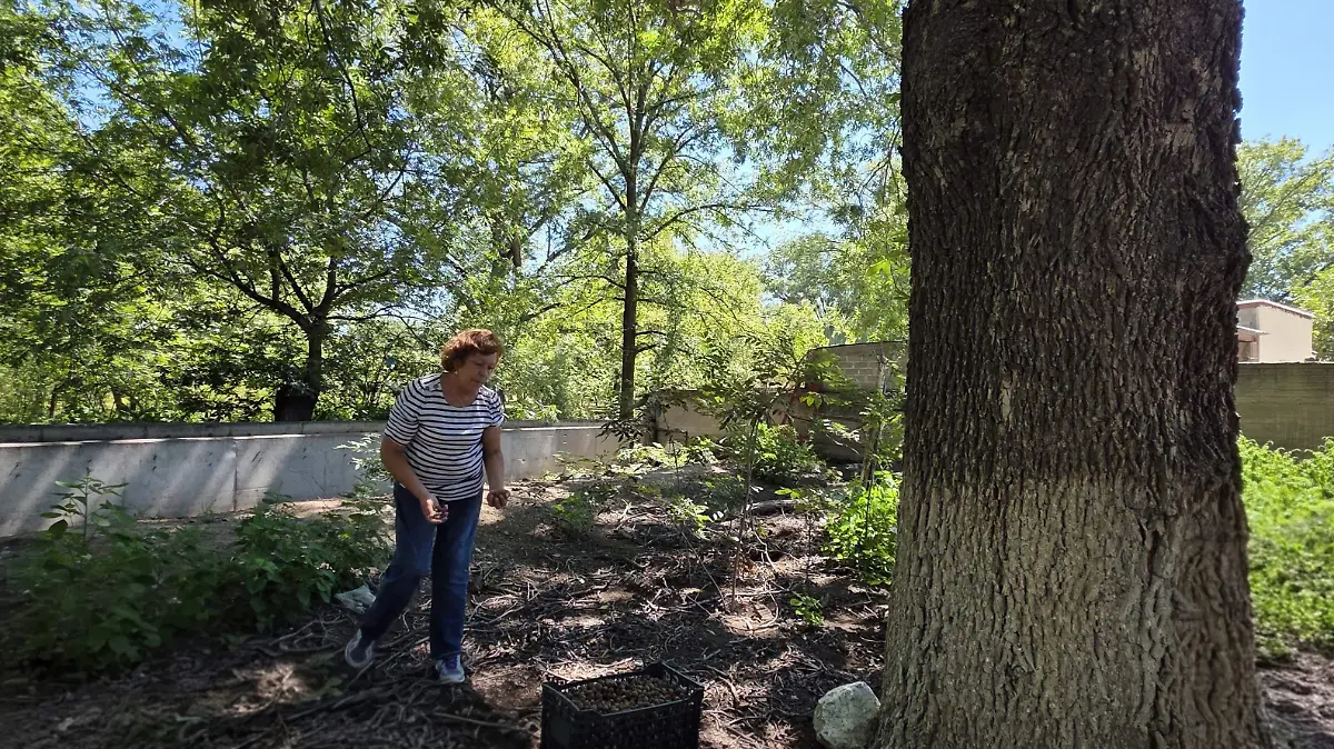 64a3f707-bb16-4122-a9e9-e7fadaa6e7d2