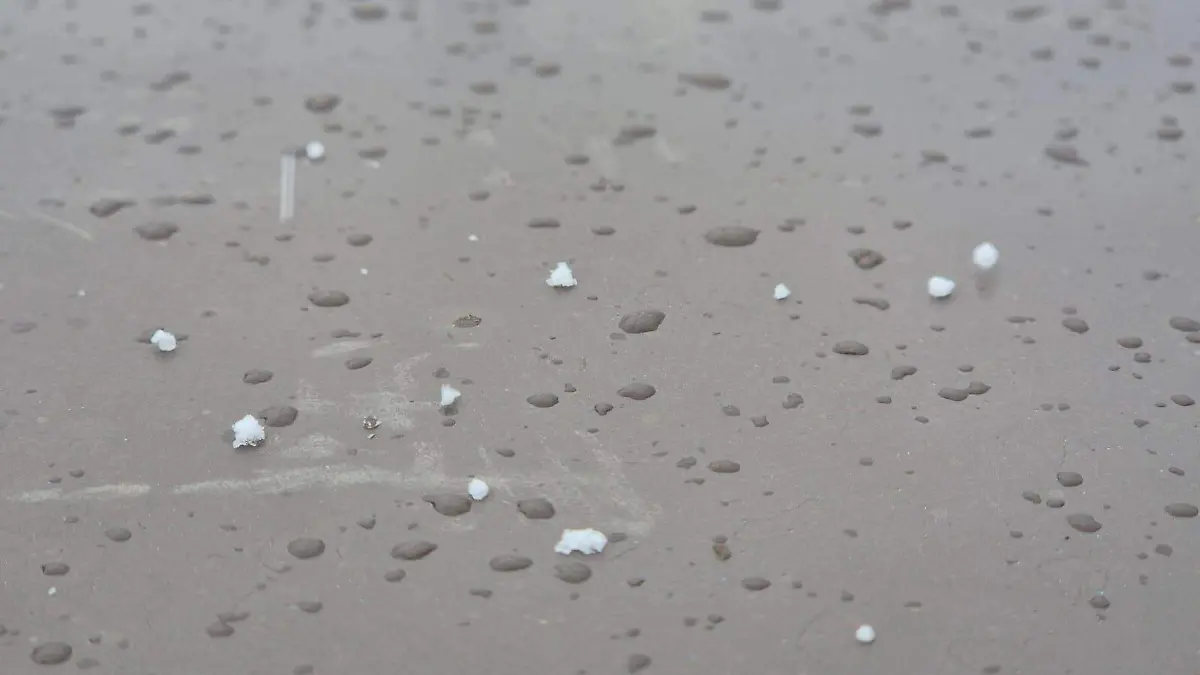 b09f3f5f-abe4-4e8e-948f-e87d3c399189