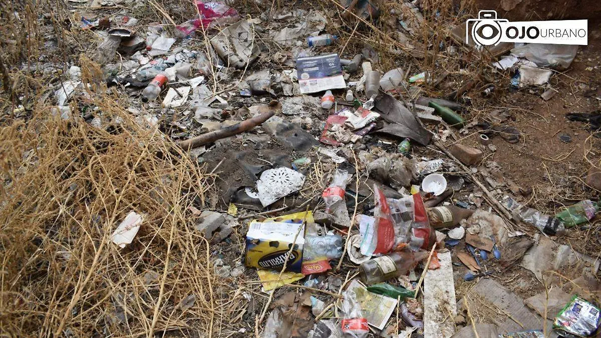 WhatsApp Image 2026-01-12 at 4.30.15 PM (1)