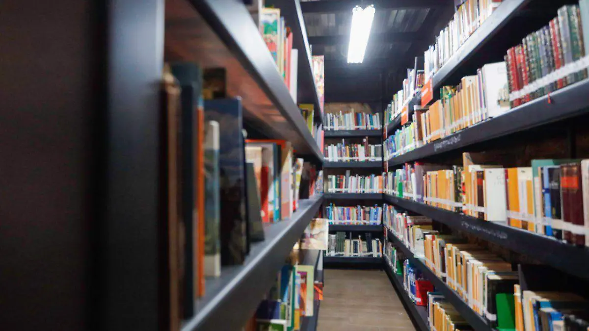 WhatsApp Image 2026-01-12 at 9.49.53 PM