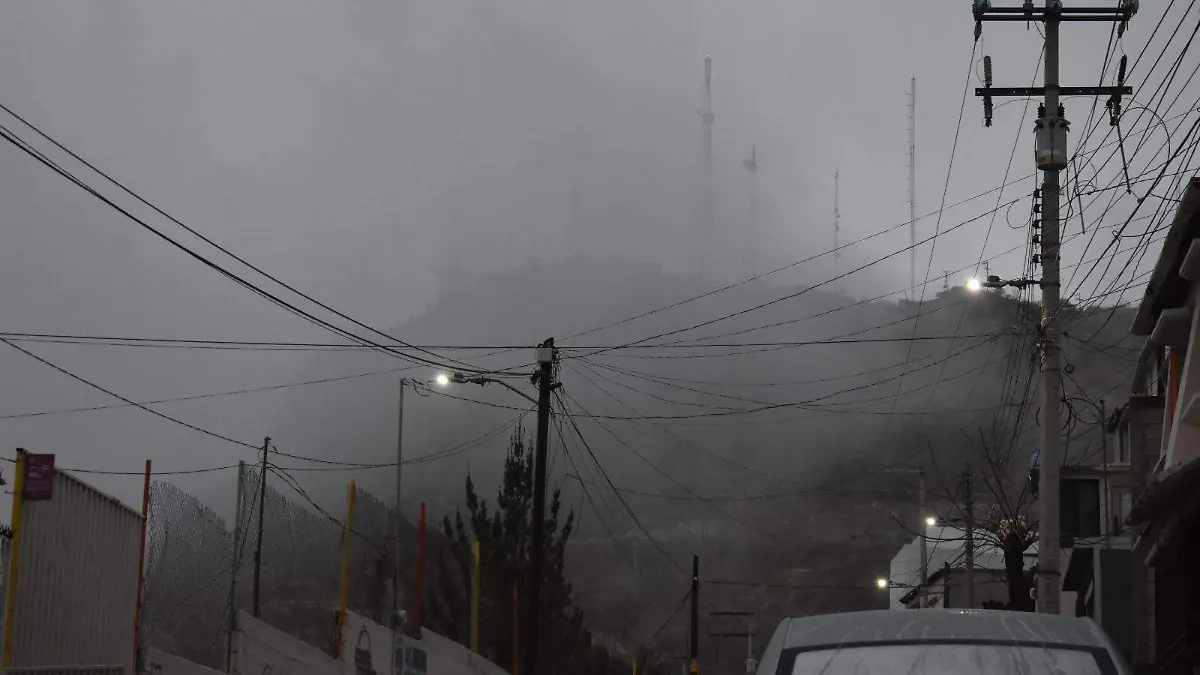 WhatsApp Image 2026-01-13 at 8.27.50 AM