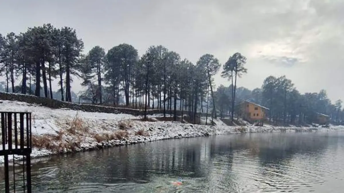 WhatsApp Image 2026-01-15 at 8.48.09 PM