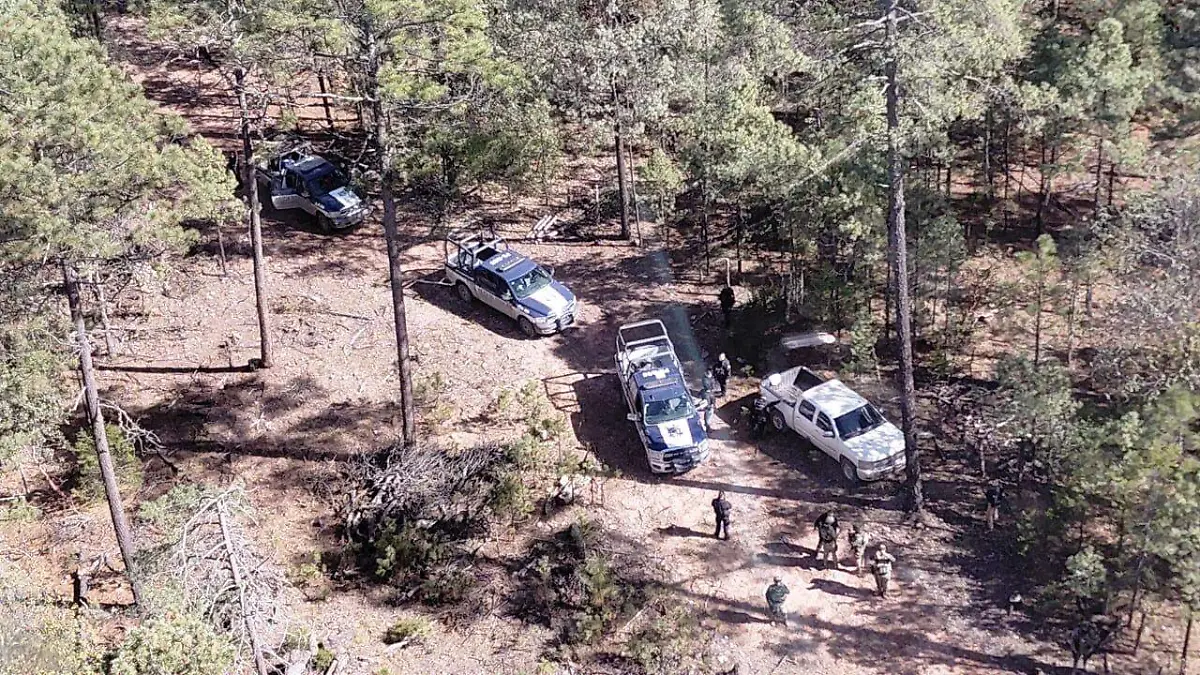 b51cde82-0447-4b9e-901a-88e0af193e7e