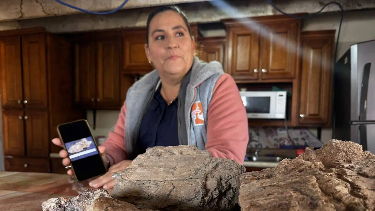 WhatsApp Image 2026-01-14 at 9.24.01 PM