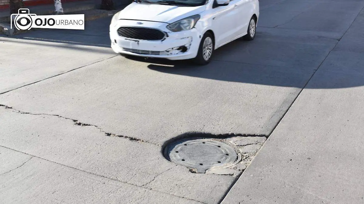 WhatsApp Image 2026-01-19 at 4.56.35 PM