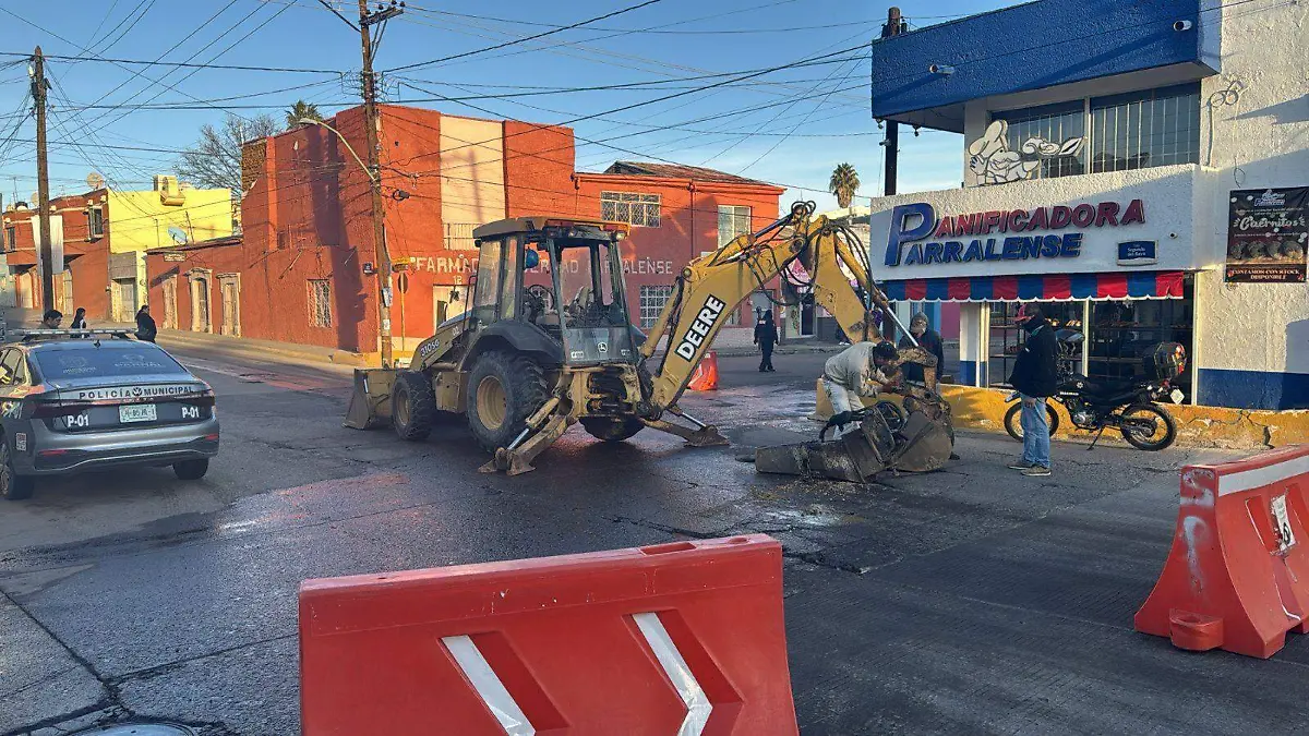 WhatsApp Image 2026-01-19 at 7.50.37 PM