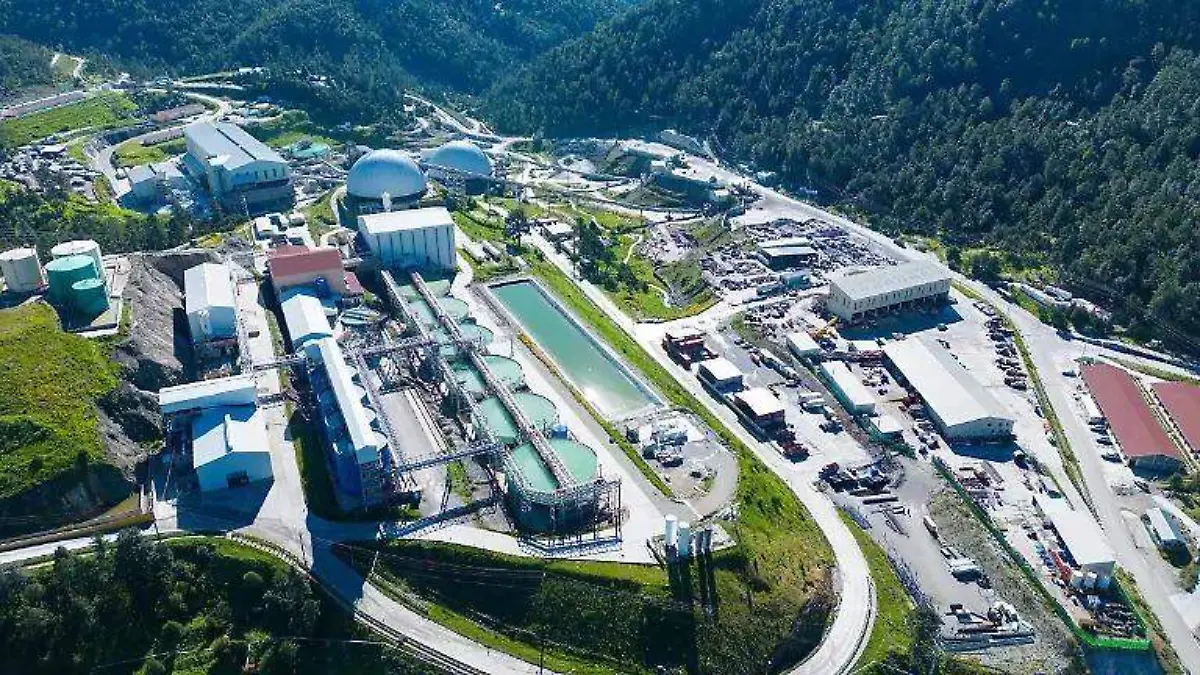 WhatsApp Image 2026-01-19 at 10.31.27 PM