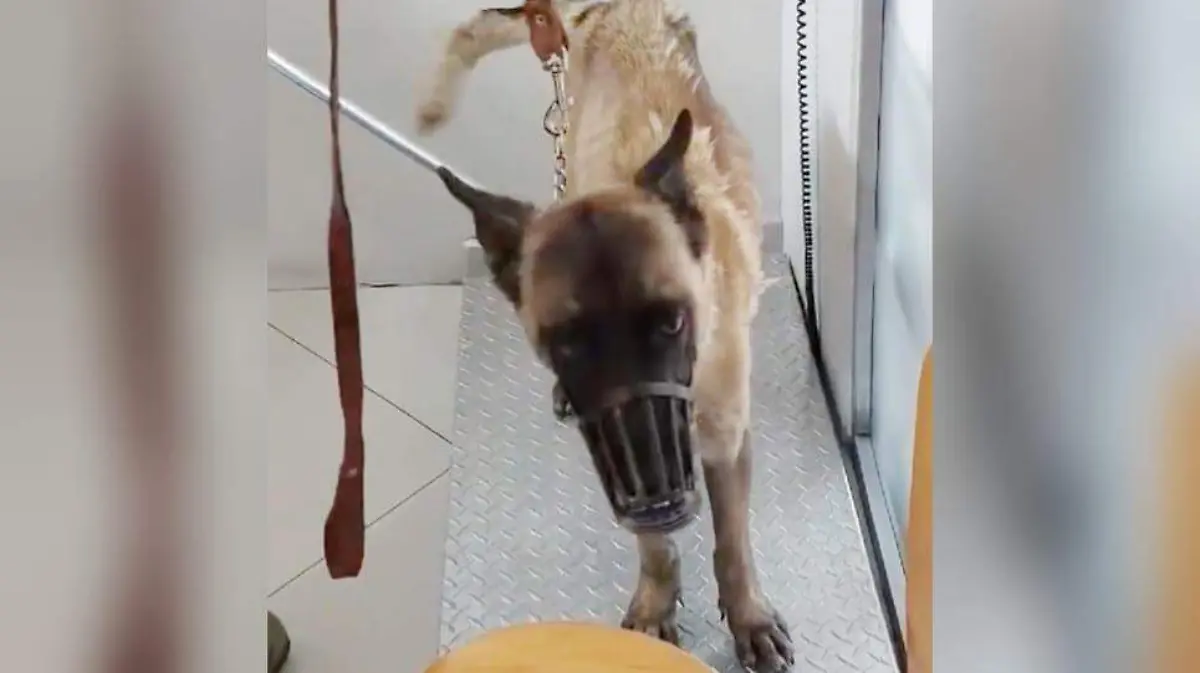 e06ef76b-1812-42cc-9e93-6af8e26c181c