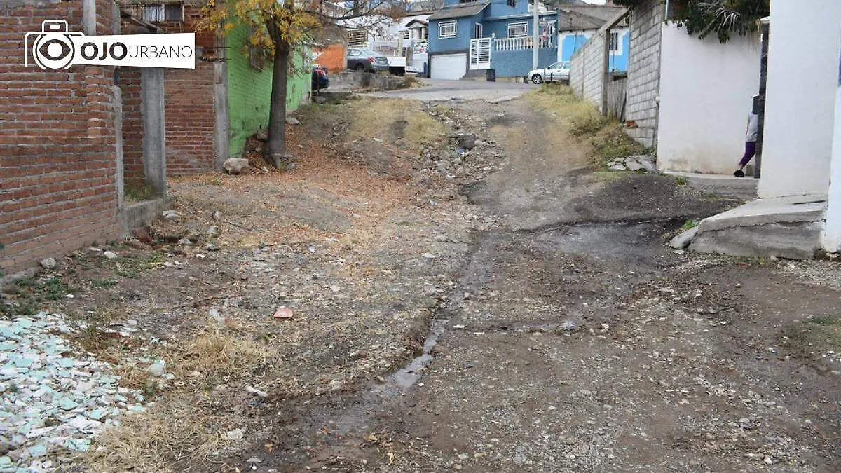 Fuga de agua lleva más de siete meses activa en calle privada Palo Blanco