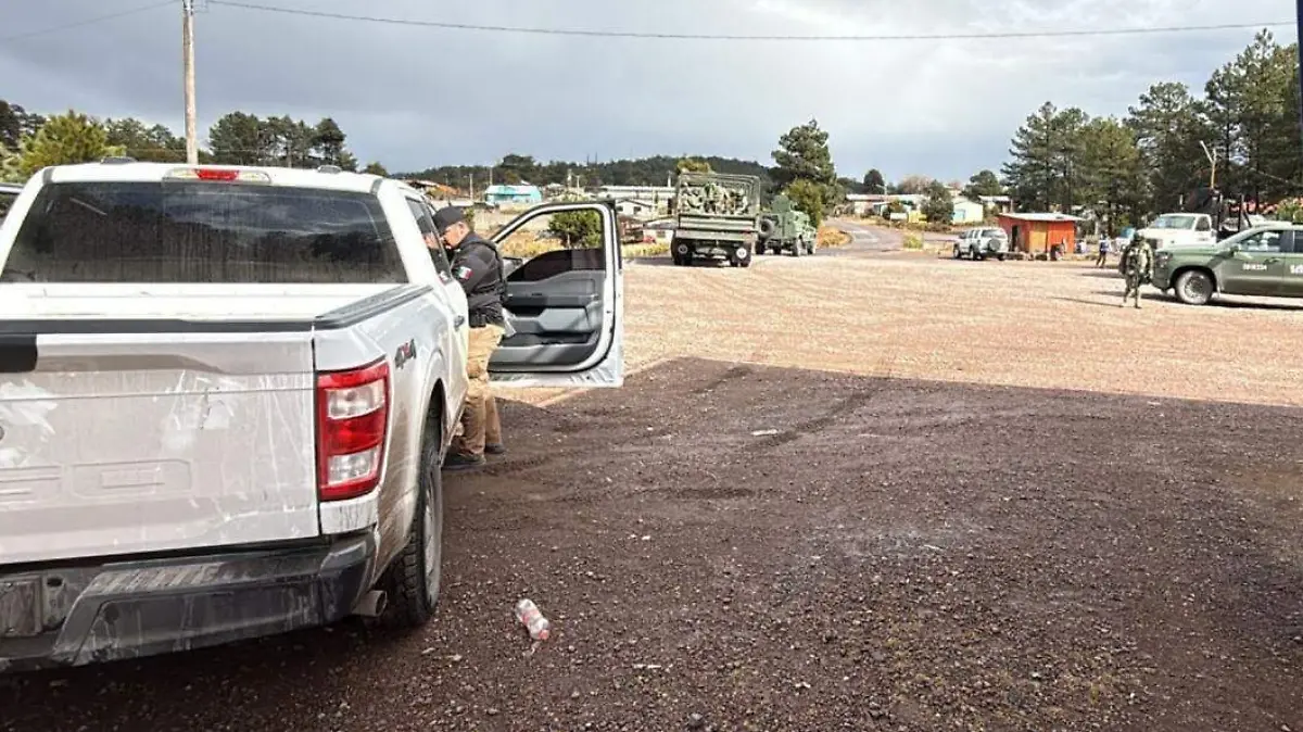 WhatsApp Image 2026-01-20 at 5.37.32 PM