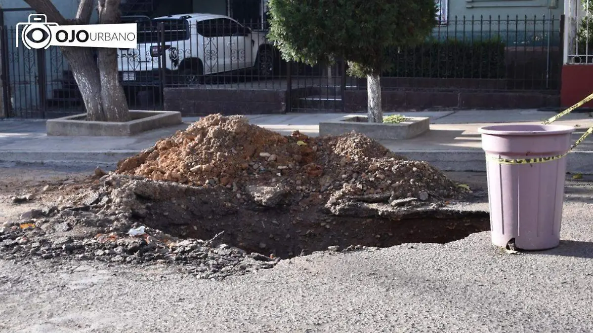 WhatsApp Image 2026-01-21 at 5.14.09 PM