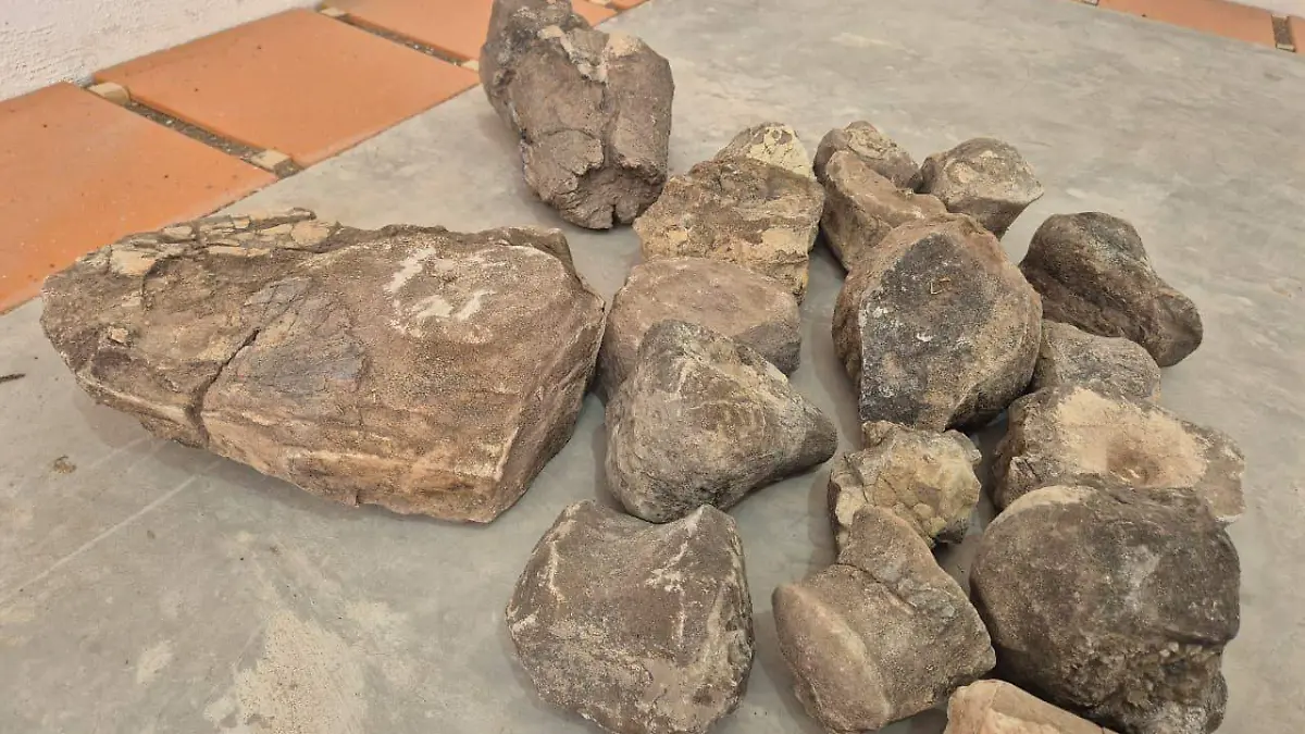 WhatsApp Image 2026-01-22 at 12.58.45 PM