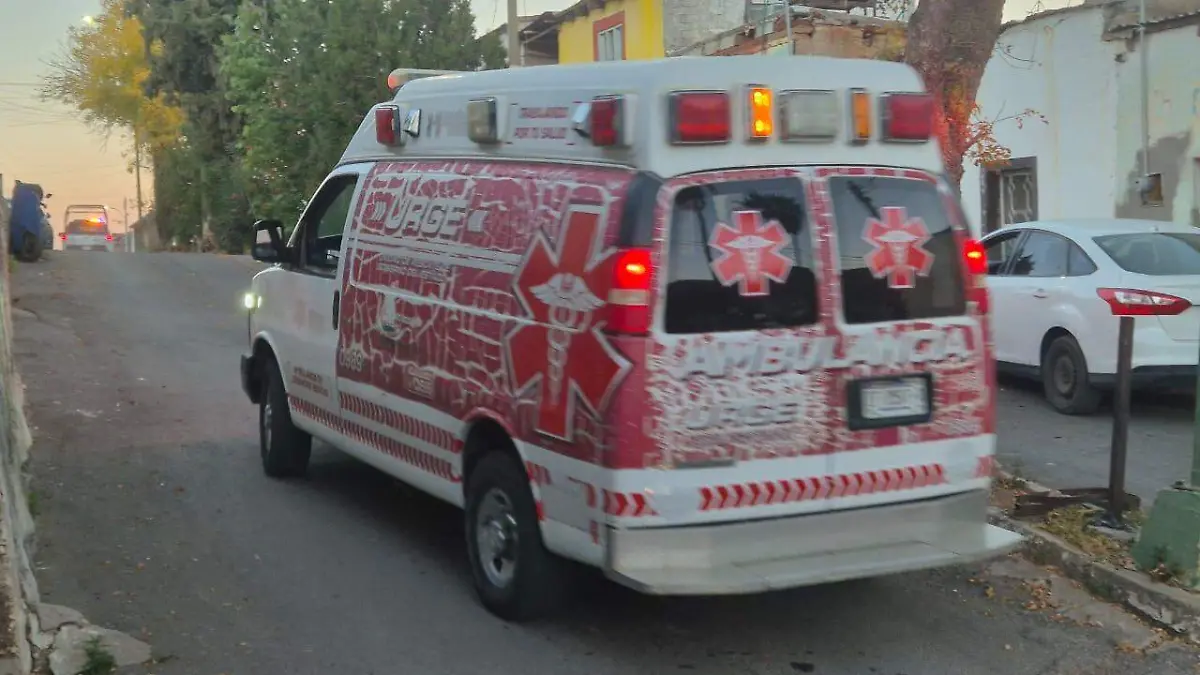 8e543383-a9d3-4d25-bd47-5b8e809312a5