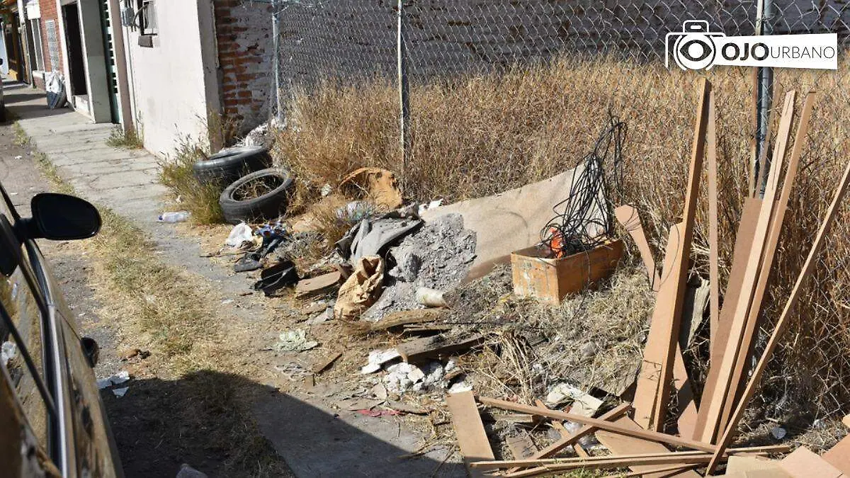 WhatsApp Image 2026-01-22 at 4.34.43 PM