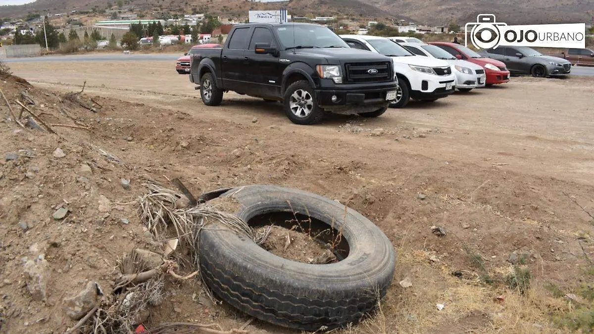 WhatsApp Image 2026-01-23 at 4.43.52 PM