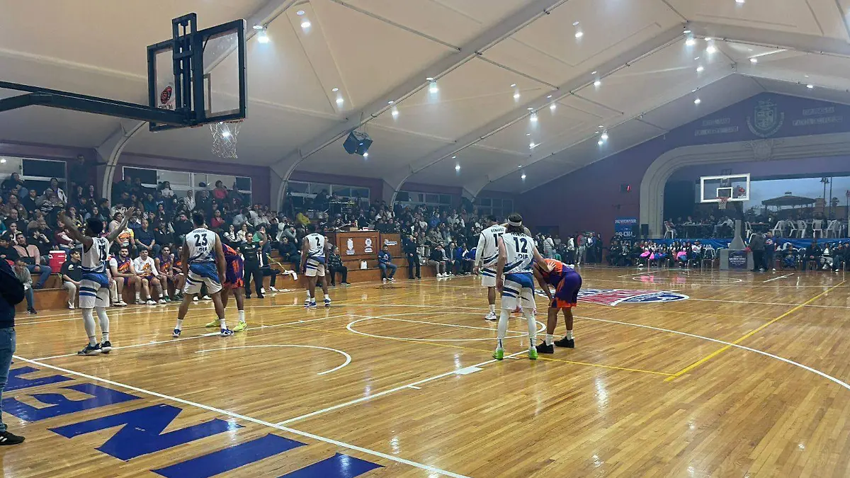 WhatsApp Image 2026-01-23 at 9.03.56 PM