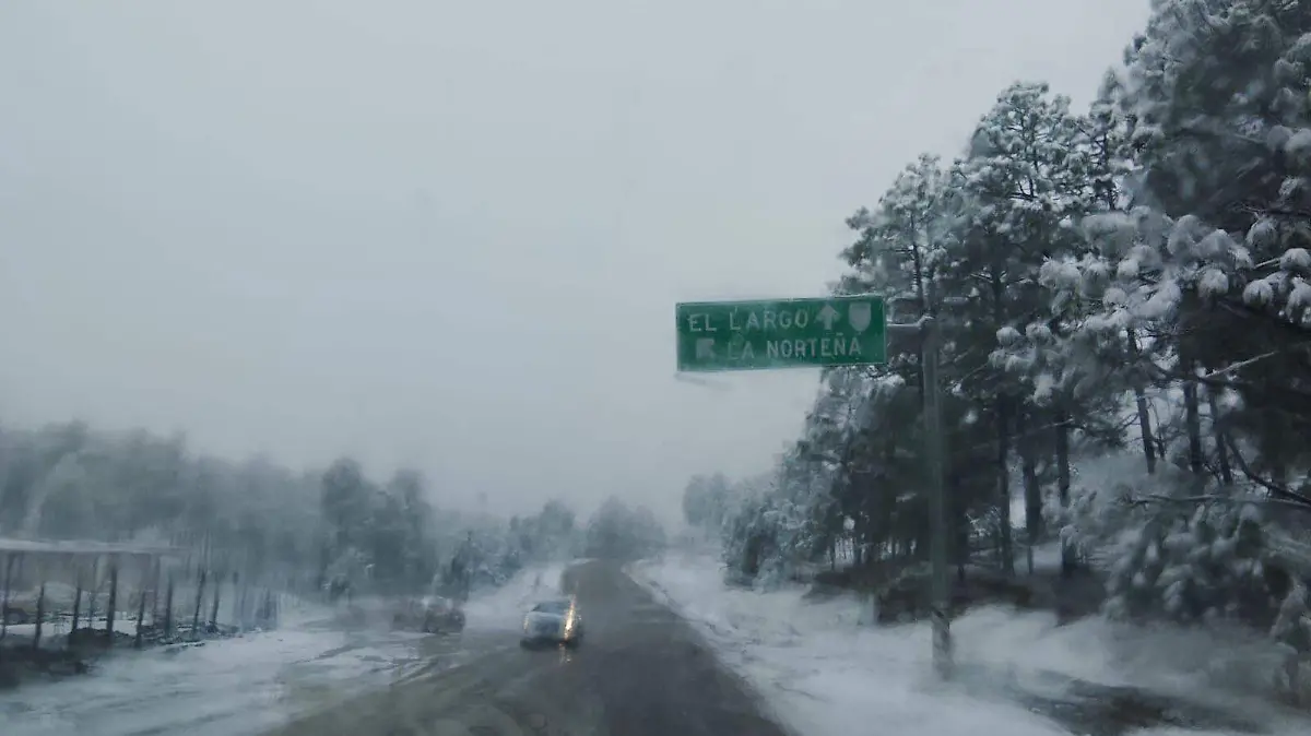 WhatsApp Image 2026-01-24 at 11.20.30 AM