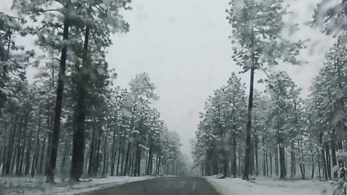 ac5f1b53-4a14-42de-ba57-f65cd8ed421f