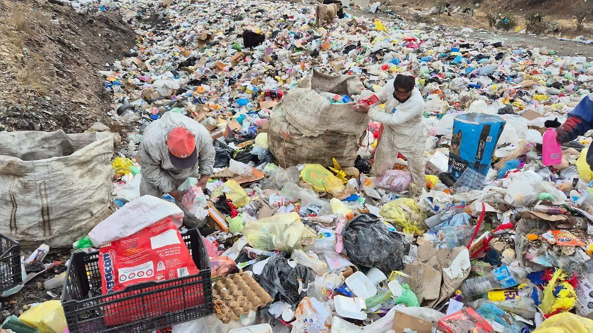 WhatsApp Image 2026-01-21 at 9.09.20 PM