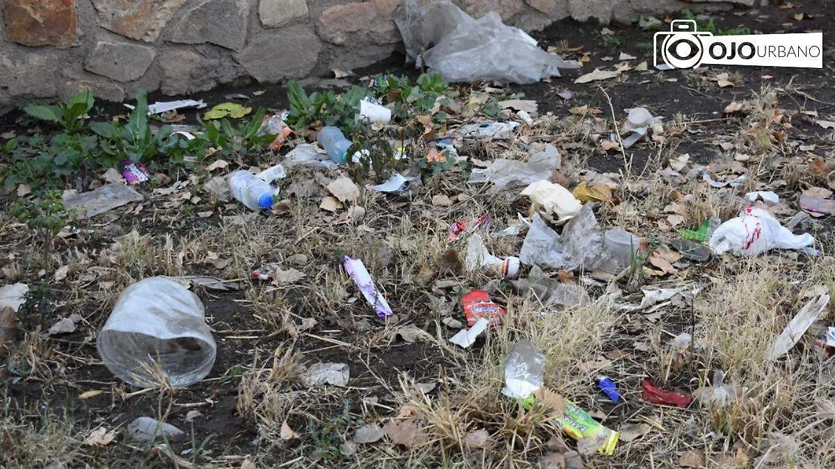 WhatsApp Image 2026-01-26 at 4.59.52 PM