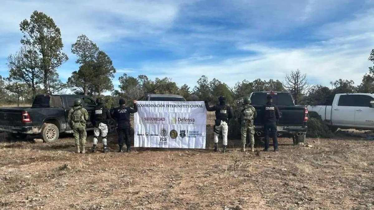 d1d19161-cd8f-4b29-8e2c-9e603550d556