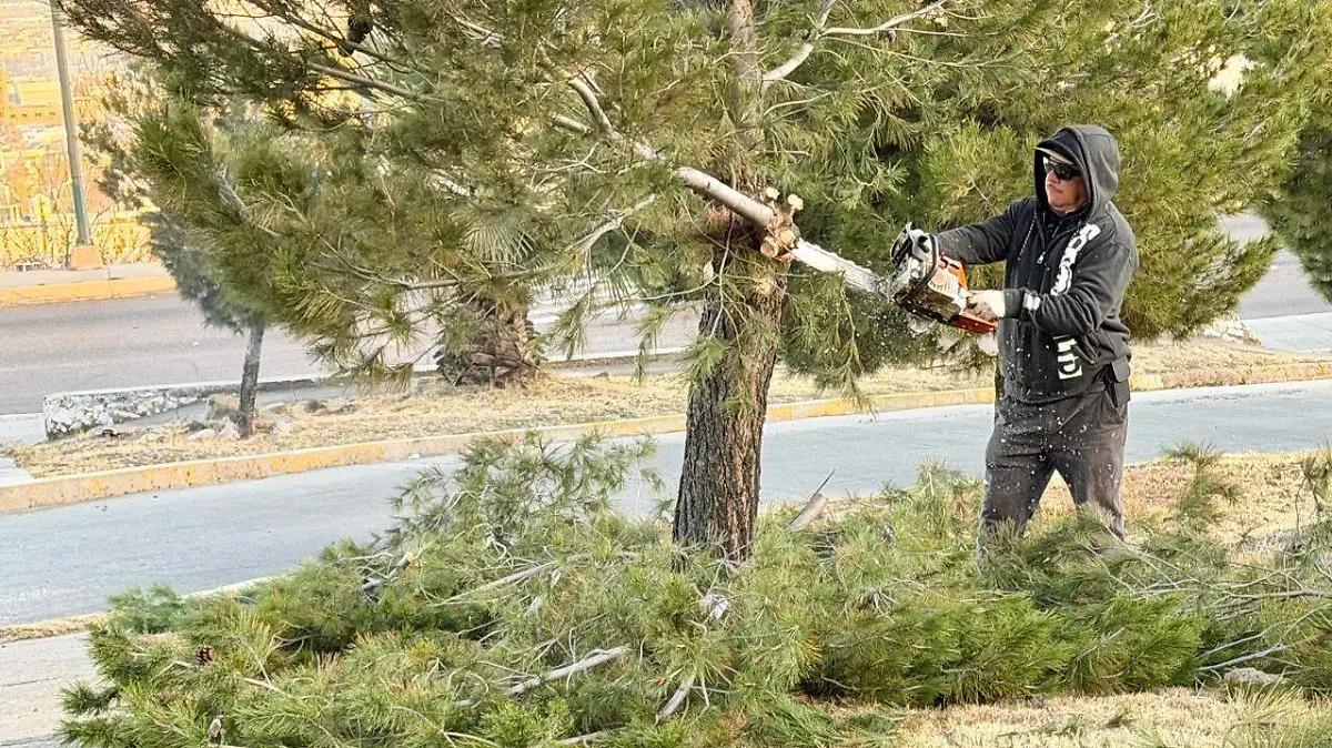 6d1de6a4-c9fa-4acb-918b-86373e0df1c7