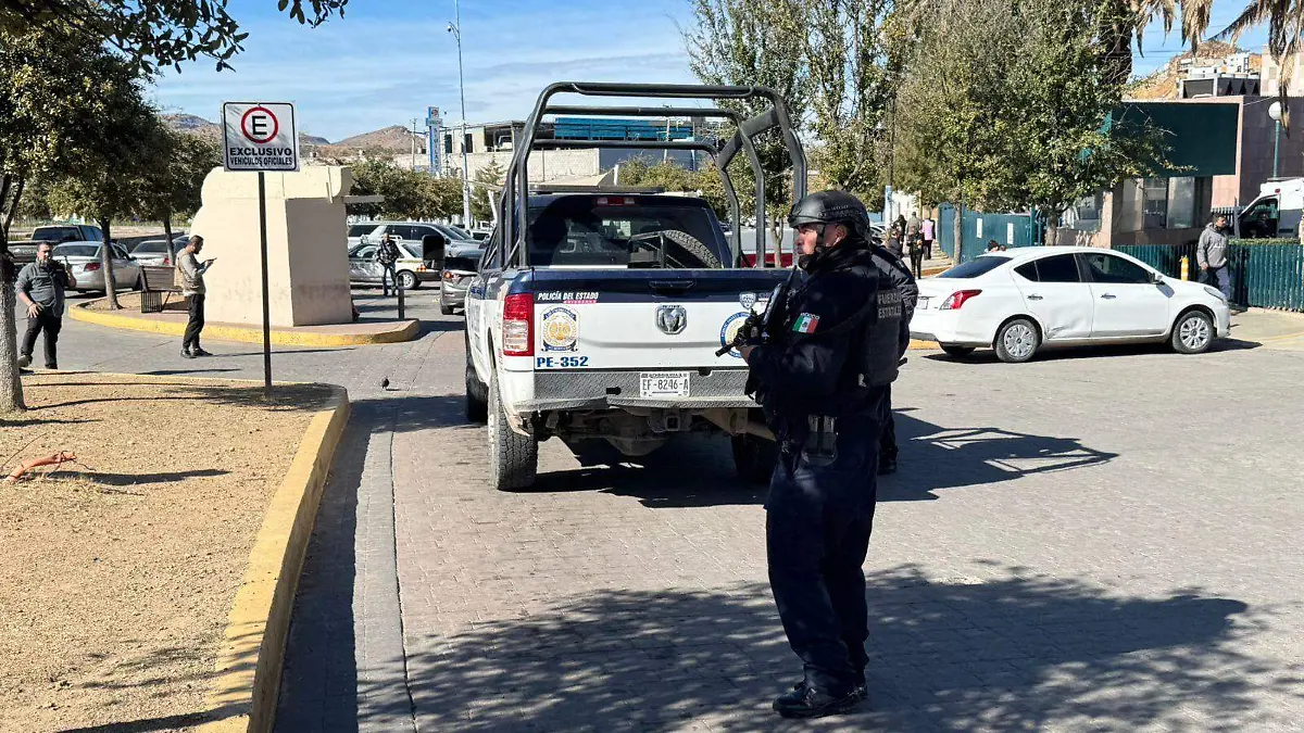 WhatsApp Image 2026-01-28 at 3.01.21 PM (1)