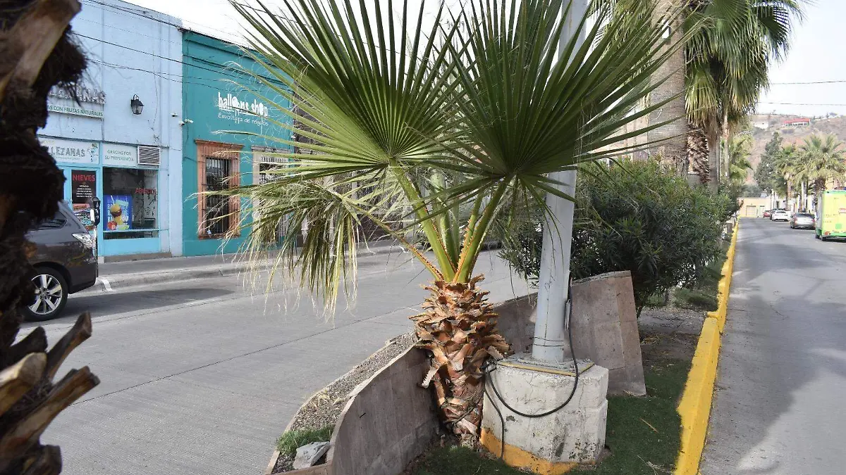 9a7e8085-cb17-462f-a955-31338c2839f9