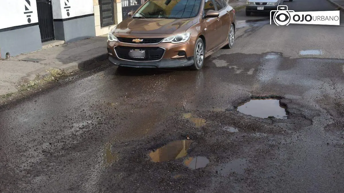 WhatsApp Image 2026-01-29 at 5.00.27 PM