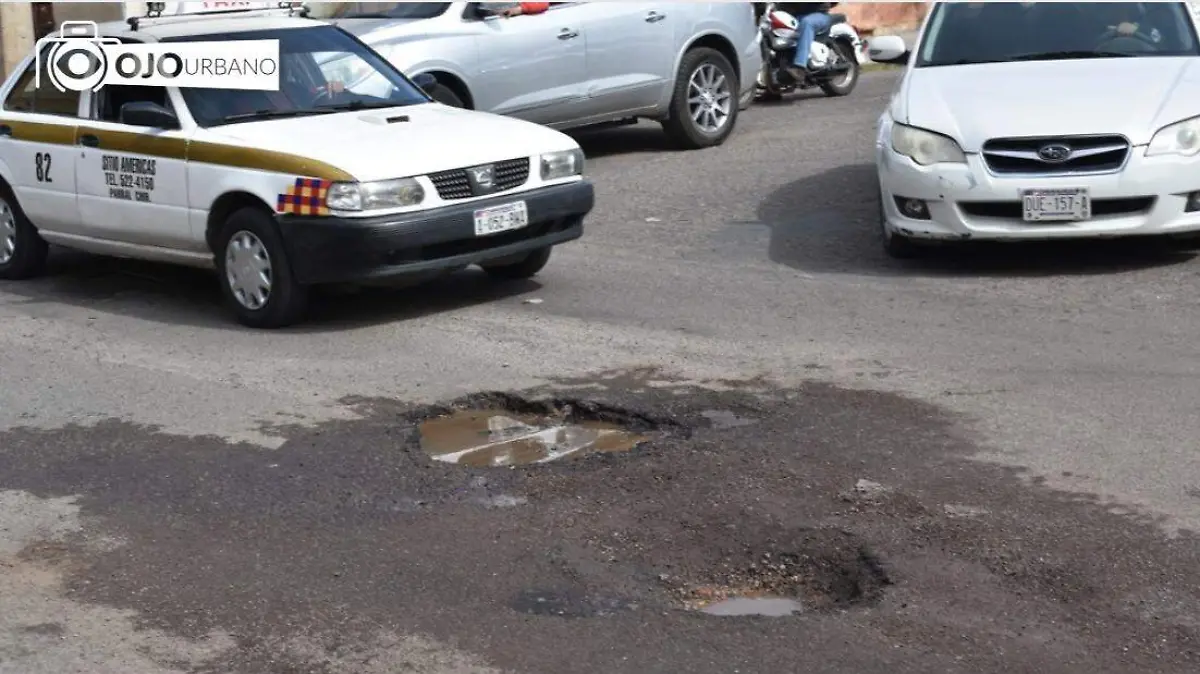 WhatsApp Image 2026-02-03 at 5.02.03 PM (1)