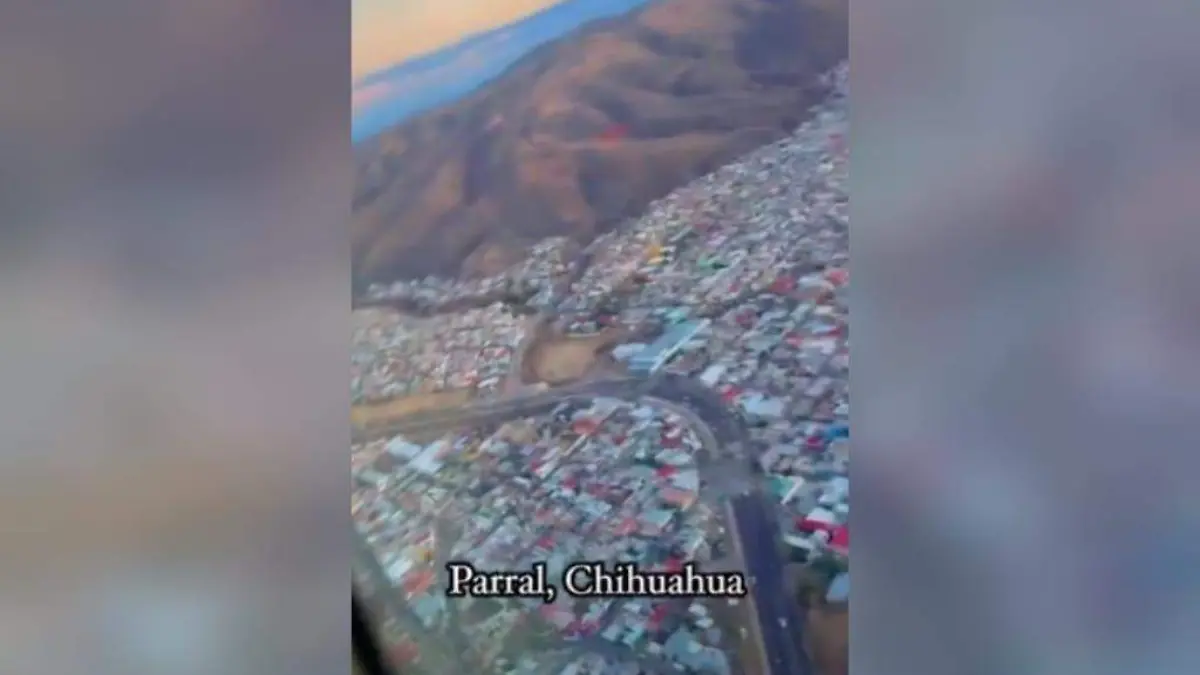 WhatsApp Image 2026-02-04 at 12.37.22 PM