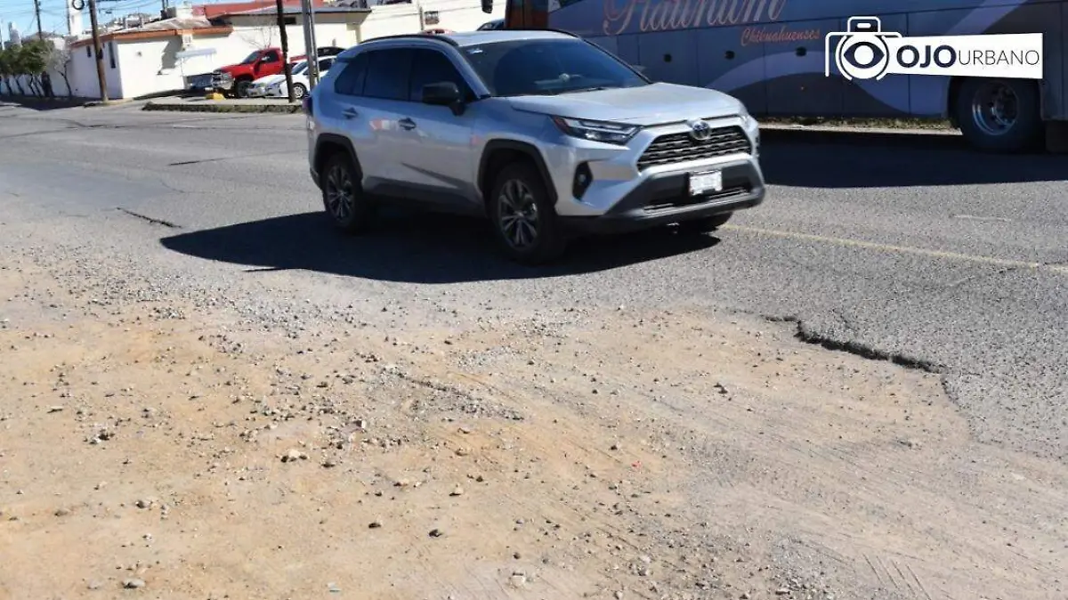 WhatsApp Image 2026-02-04 at 4.46.12 PM