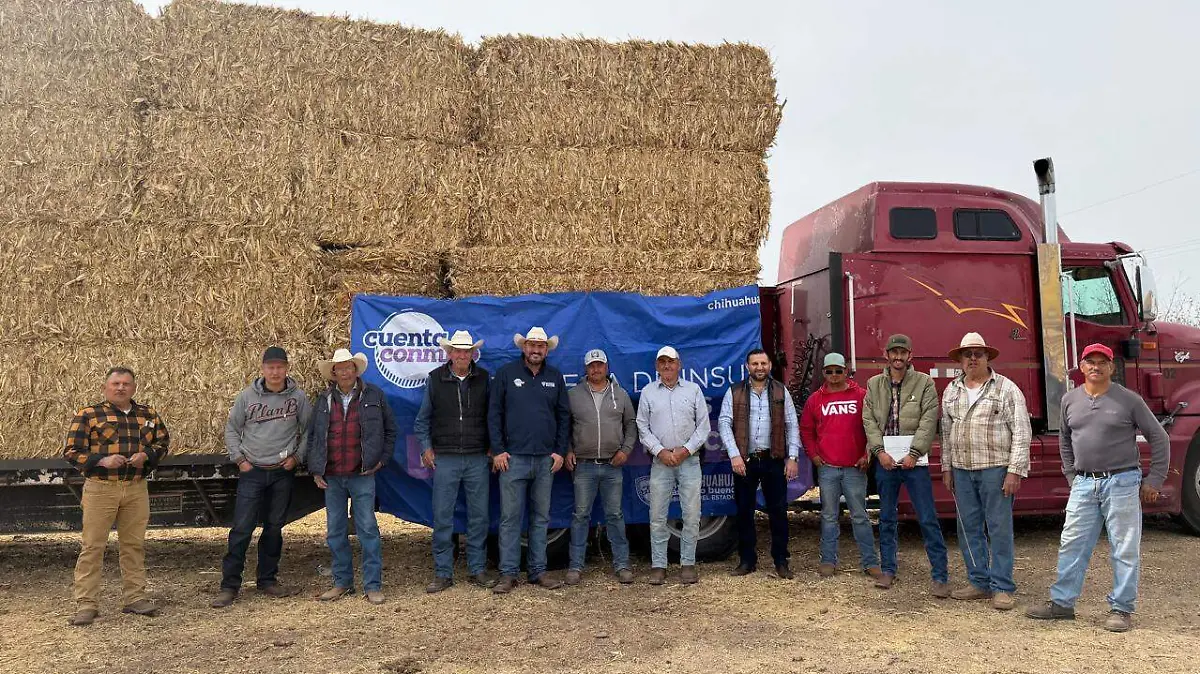 17e520bc-4074-4648-9674-dba440b038f3