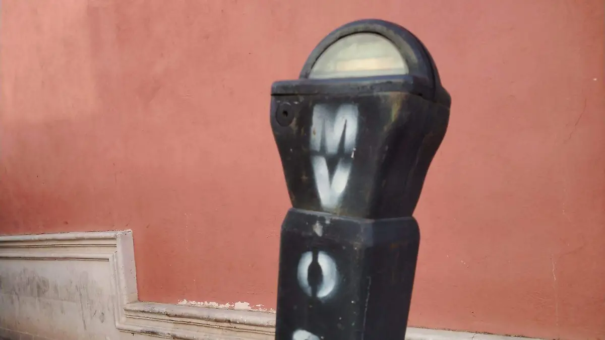 WhatsApp Image 2026-02-05 at 12.29.05 PM